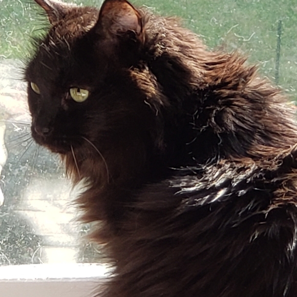 Meet your Posher, Jordan - Picture 4 of 8